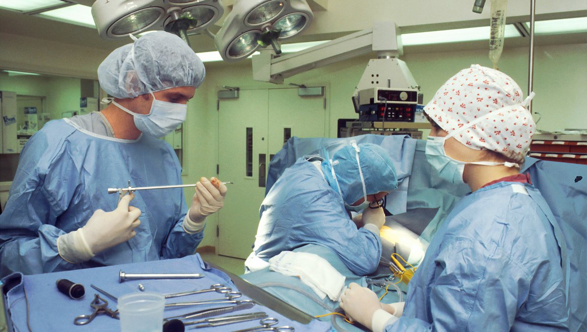 Команда проекта «Реконструктивная хирургия и экспресс-имплантация» из портфеля УМНОЦ перешла к испытаниям имплантатов 